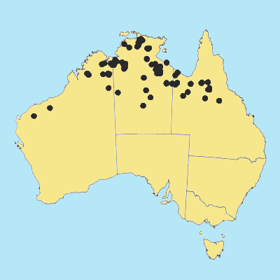 Australian Distribution 2002 © ABRS