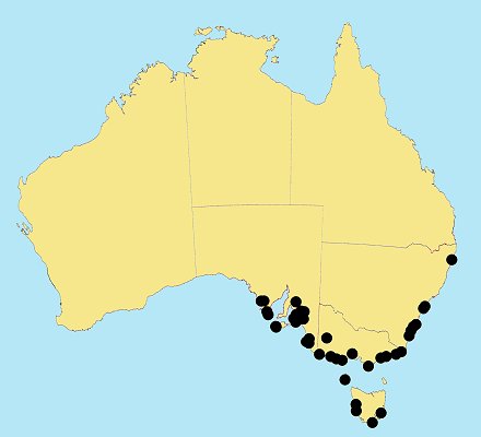 AusGrass Distribution 2002 © ABRS