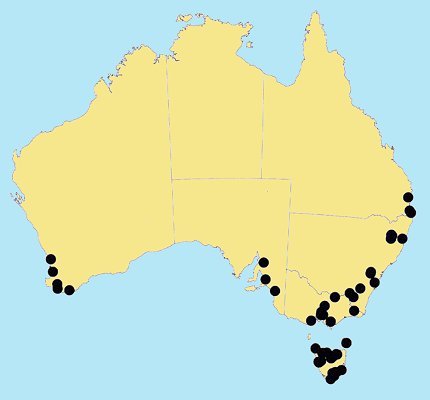 Australian Distribution 2002 © ABRS