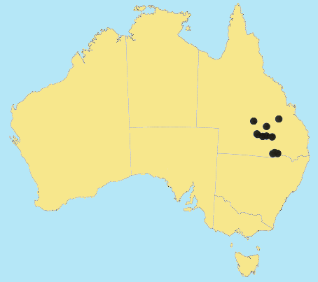 AusGrass Distribution 2002 © ABRS