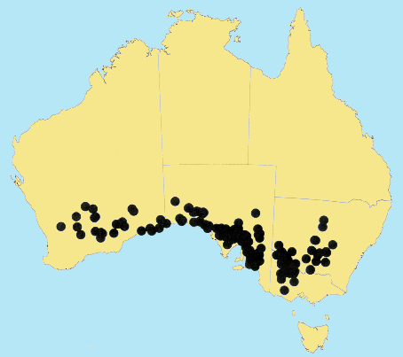 AusGrass Distribution 2002 © ABRS