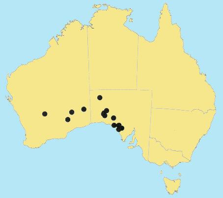 AusGrass Distribution 2002 © ABRS