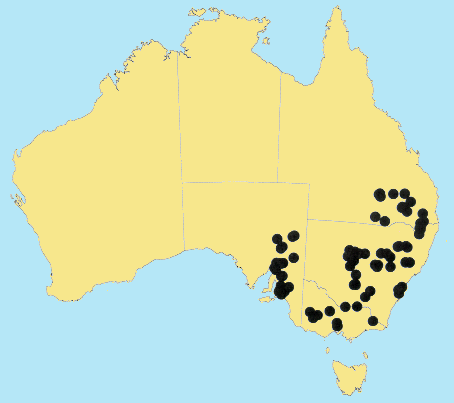AusGrass Distribution 2002 © ABRS