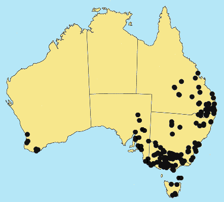 Australian Distribution 2002 © ABRS