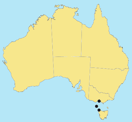 AusGrass Distribution 2002 © ABRS