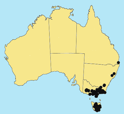 AusGrass Distribution 2002 © ABRS