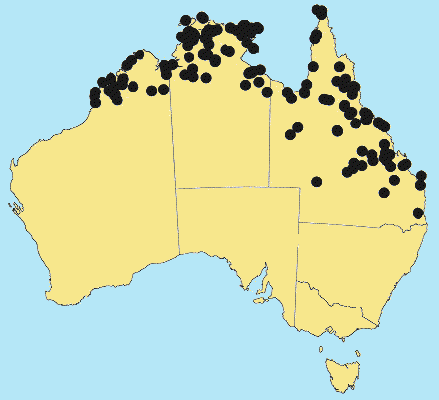 AusGrass Distribution 2002 © ABRS