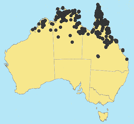 AusGrass Distribution 2002 © ABRS