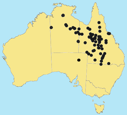 AusGrass Distribution 2002 © ABRS