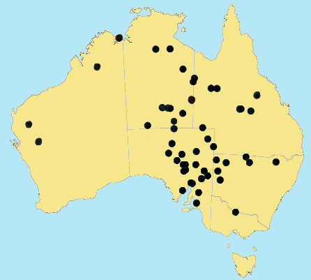 AusGrass Distribution 2002 © ABRS