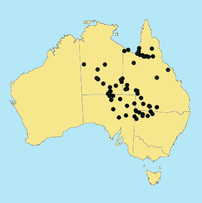 Australian Distribution 2002 © ABRS