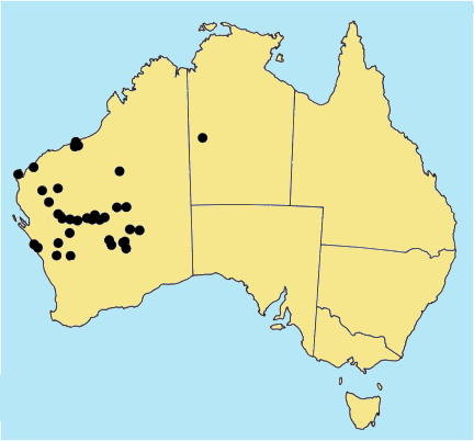 Australian Distribution 2002 © ABRS