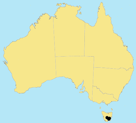 AusGrass Distribution 2002 © ABRS