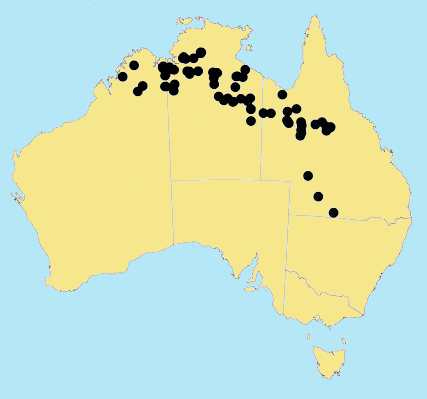 AusGrass Distribution 2002 © ABRS