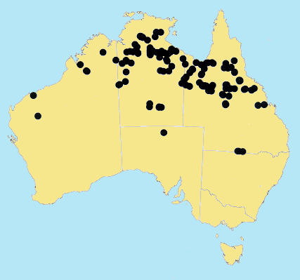 AusGrass Distribution 2002 © ABRS