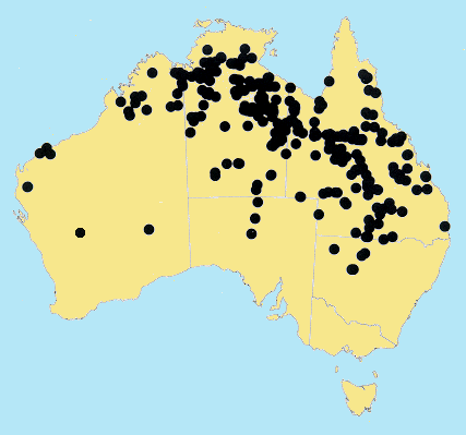 AusGrass Distribution 2002 © ABRS