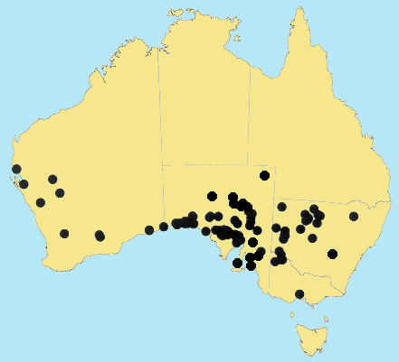 Australian Distribution 2002 © ABRS