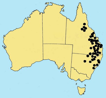 AusGrass Distribution 2002 © ABRS