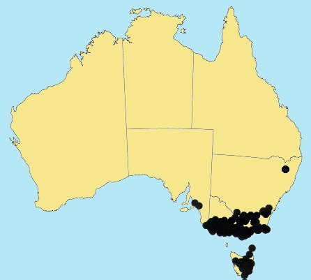 Australian Distribution 2002 © ABRS