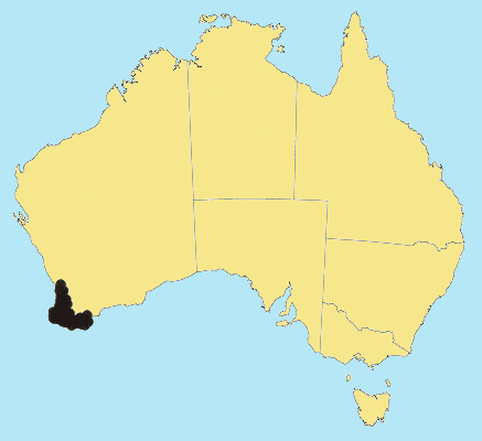 Australian Distribution 2002 © ABRS