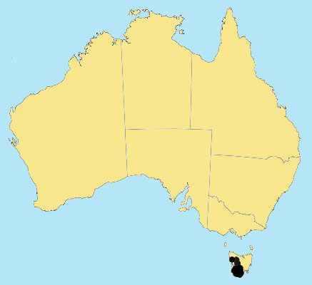 Australian Distribution 2002 © ABRS