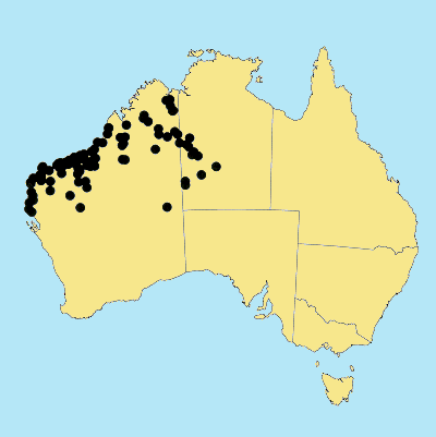 Australian Distribution 2002 © ABRS