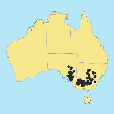 Australian Distribution 2002 © ABRS