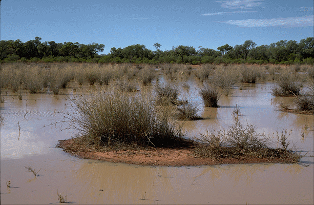 Habit (photo) © M.Fagg