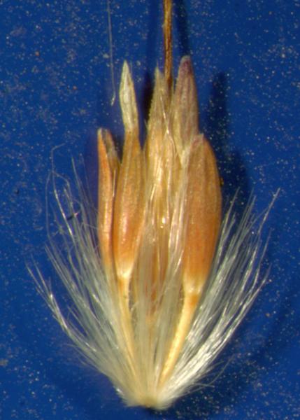 photo © John Thompson