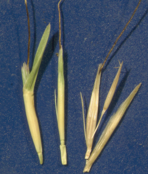 photo © John Thompson