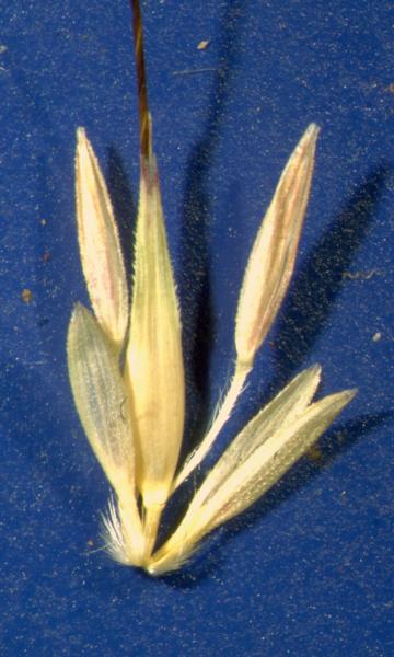 photo © John Thompson