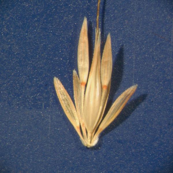 photo © John Thompson