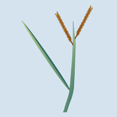 sheathless (inconspicuously sheathed) blades