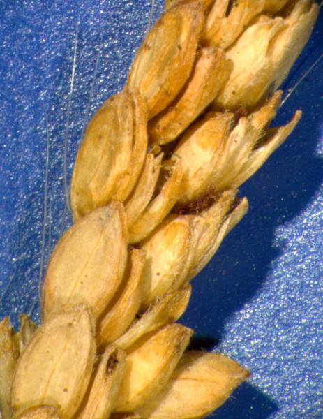 photo © John Thompson