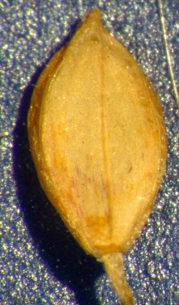 photo © John Thompson