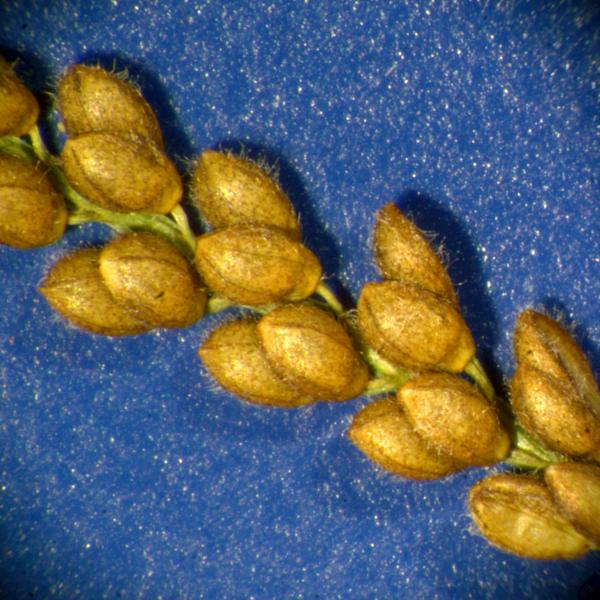 photo © John Thompson