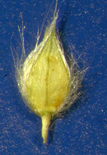 photo © John Thompson