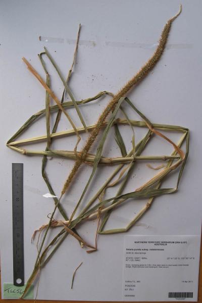 photo © D. Albrecht