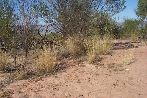 Habit (photo) © B.K. Simon