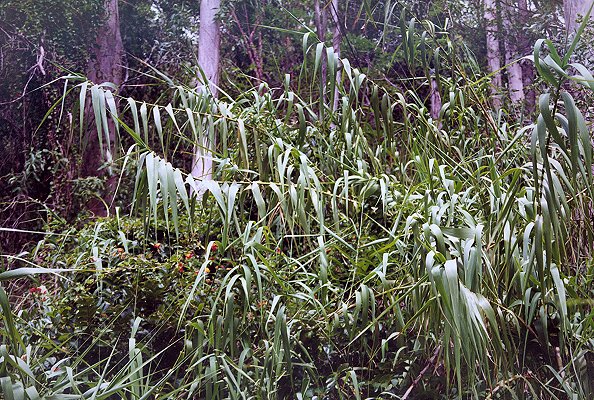 Habit (photo) © B. Hacker