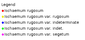 I. rugosum