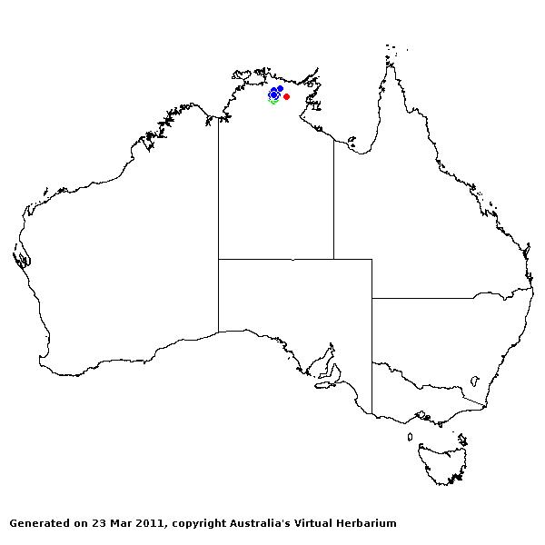 Symplectrodia AVH 2011