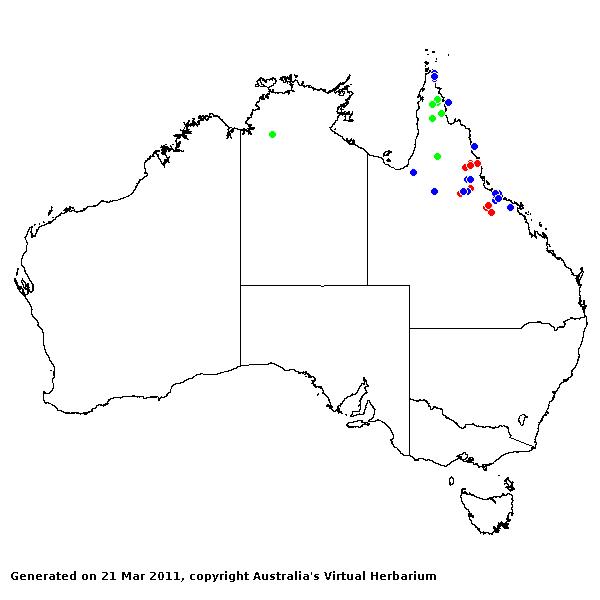 Arthragrostis AVH 2011