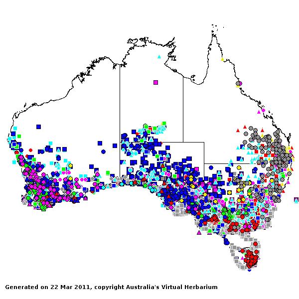 Austrostipa AVH 2011