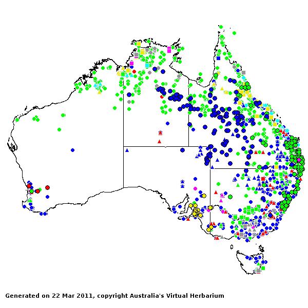 Echinochloa AVH 2011